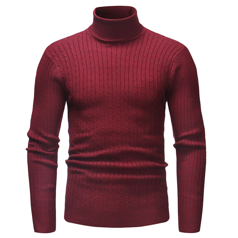 Pull Homme Col Roulé Tricot Motif