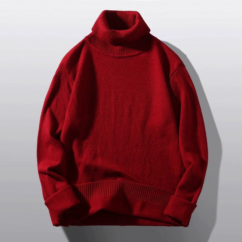 Pull col roulé homme Confortable Moderne