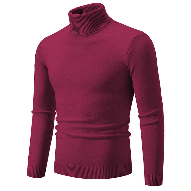 Col roulé homme Coton fin Design élégant
