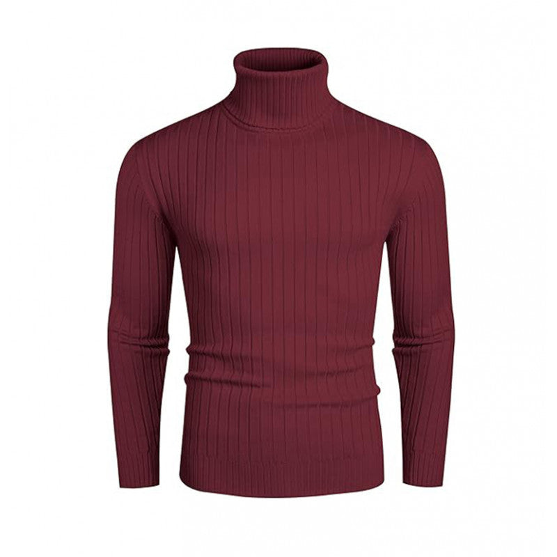 Pull homme col roulé maille design