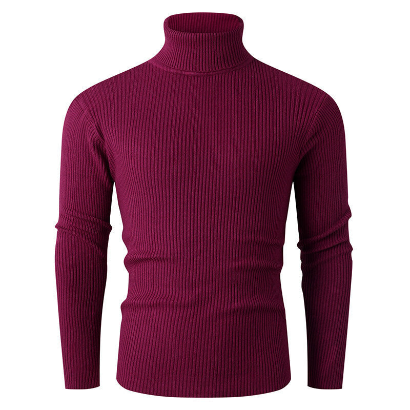 Pull en tricot pour homme Col roulé Côtes Design élégant