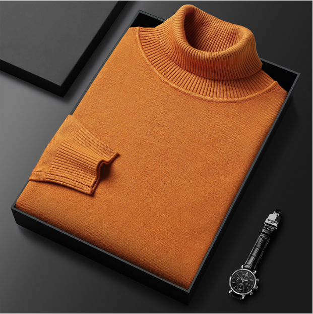 Pull col roulé stylé pour hommes
