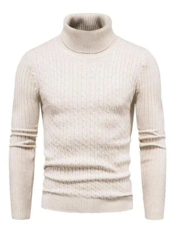 Pulls col roulé homme coupe slim