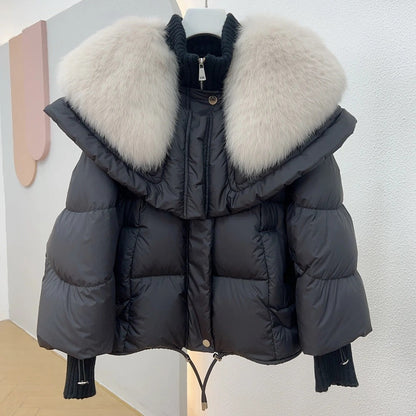 Veste élégante pour femme Coupe élégante