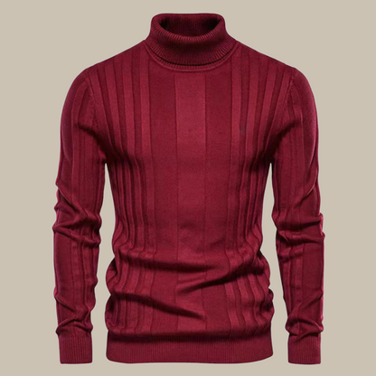 Pull-over col roulé homme élégant qualité luxe
