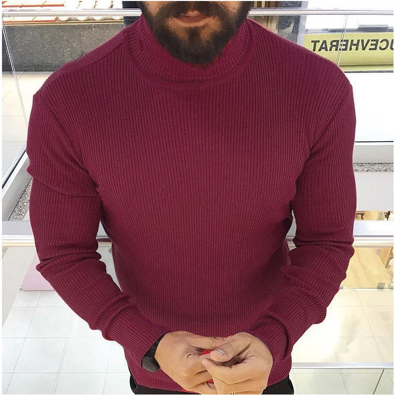 Pull en tricot pour homme col roulé Design élégant