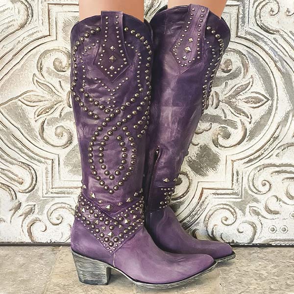 Bottes élégantes à talons hauts pour femme