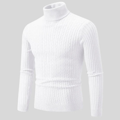 Pull roulé homme stylé Modern