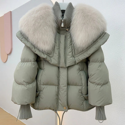 Veste élégante pour femme Coupe élégante