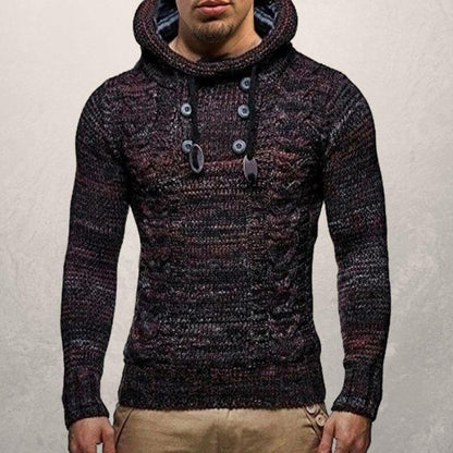 Pull en laine Capuche Coupe ajustée Moderne