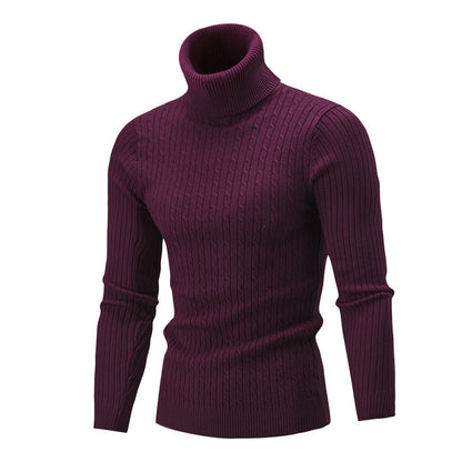 Pull col roulé homme en tricot torsadé, look élégant