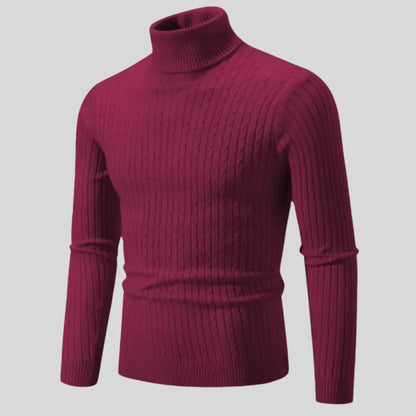 Pull roulé homme stylé Modern