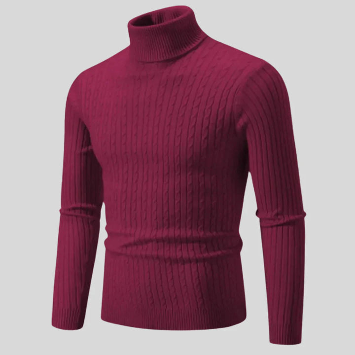 Pull roulé homme stylé Modern