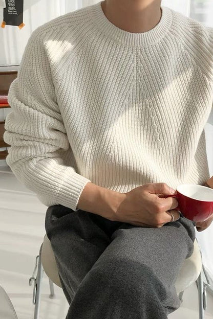 Pull homme élégant à côtes