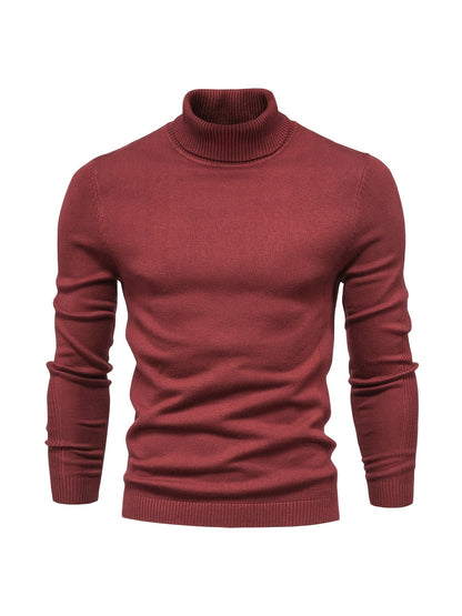Pull col roulé homme en laine mérinos moderne et chaud