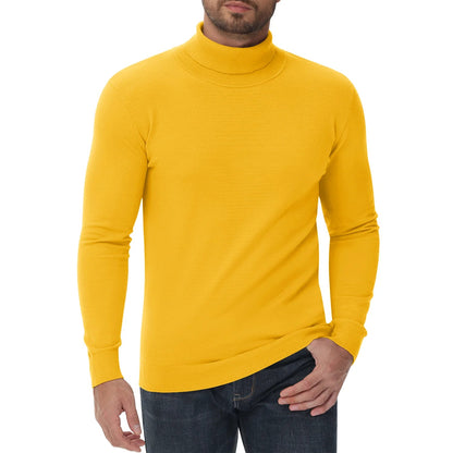 Pull col roulé homme coupe ajustée moderne