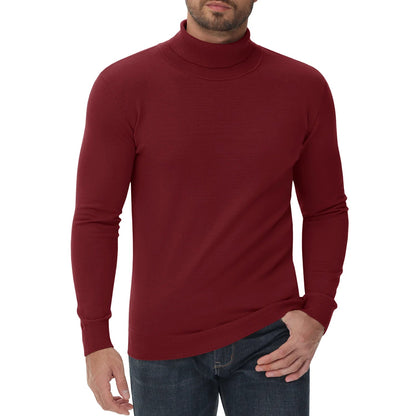 Pull col roulé homme coupe ajustée moderne