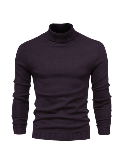 Pull col roulé homme en laine mérinos moderne et chaud