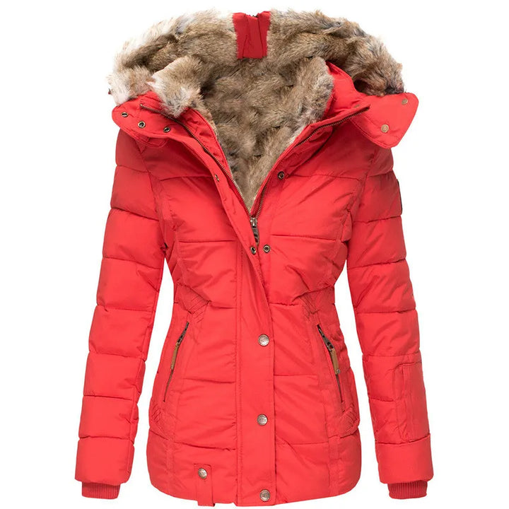 Veste moderne pour femme, élégante et cintrée