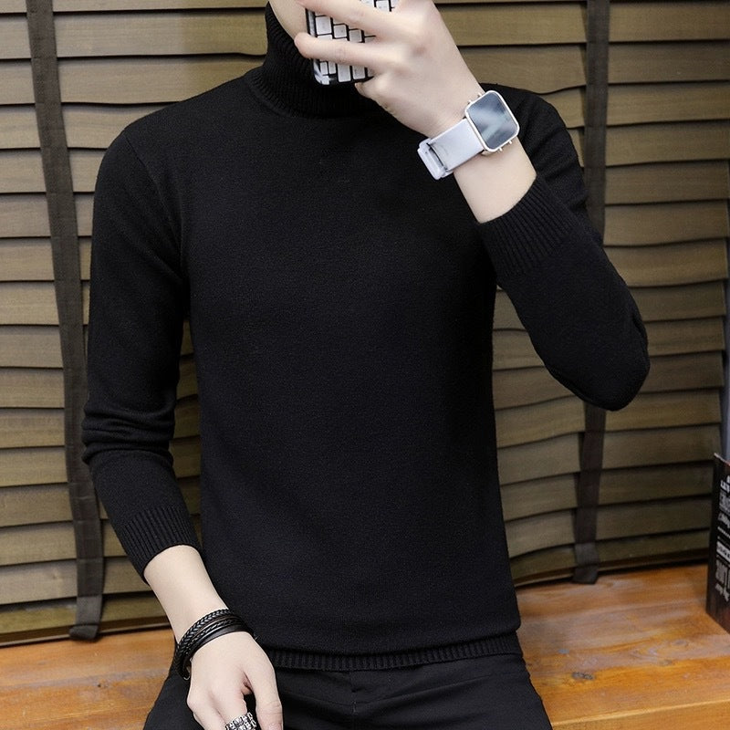 Pull col roulé homme Confortable Moderne