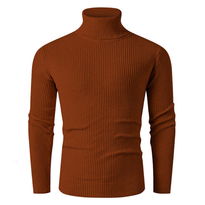 Pull en tricot pour homme Col roulé Côtes Design élégant