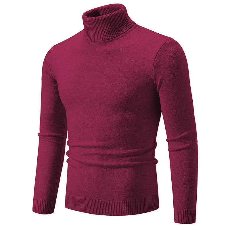 Col roulé homme Coton fin Design élégant