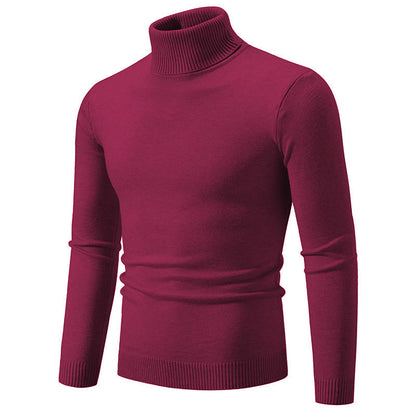 Col roulé homme Coton fin Design élégant