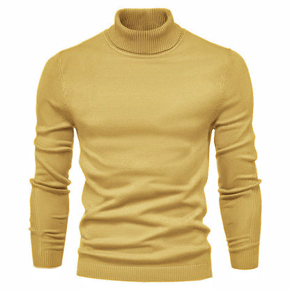 Pull col roulé homme Maille fine Style optimal