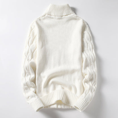 Pull en tricot pour homme col roulé torsadé mode élégante
