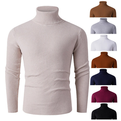 Herren Strickpullover Rollkragen Gerippt Elegantes Design - IdealeKleiden