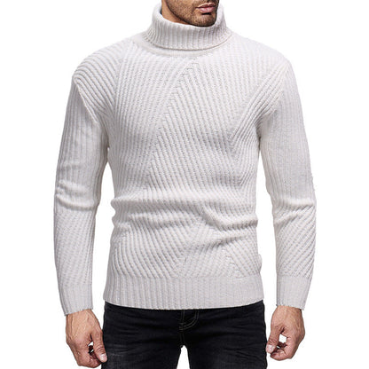 Pull roulé homme élégant et chaud