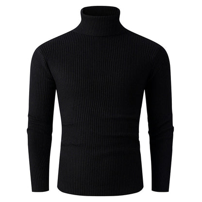 Pull en tricot pour homme Col roulé Côtes Design élégant