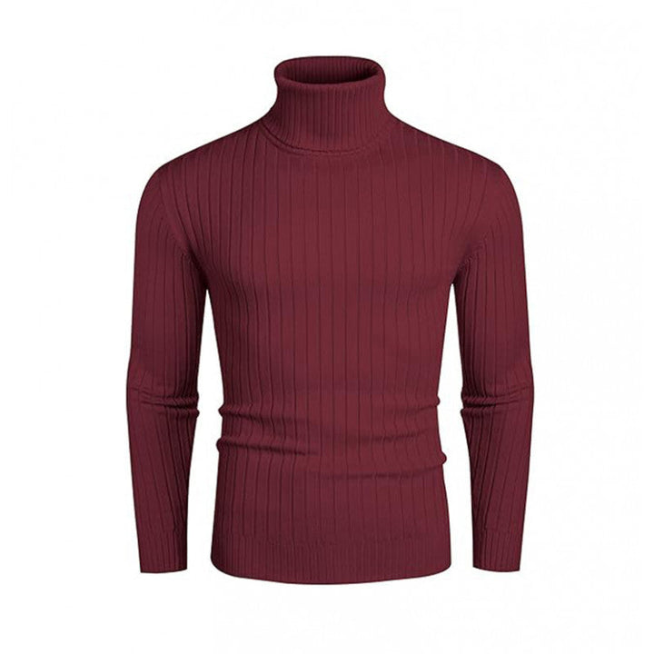 Pull homme col roulé maille design