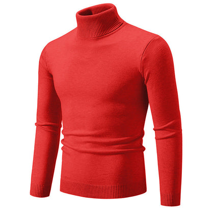 Col roulé homme Coton fin Design élégant