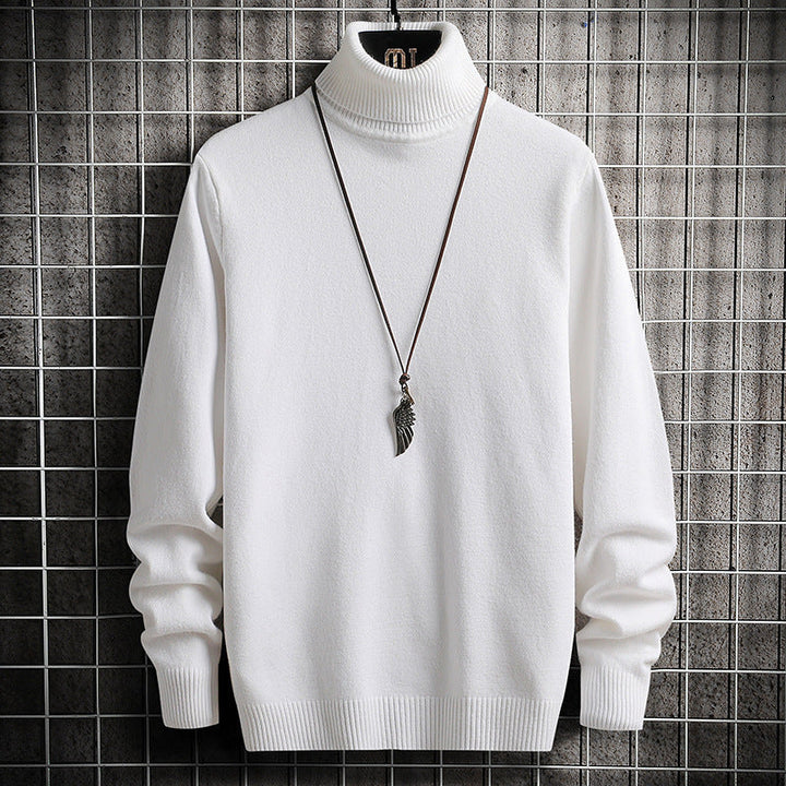 Pull col roulé homme Confortable Moderne