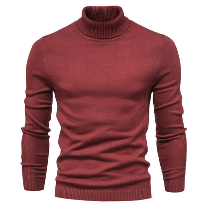 Pull col roulé homme Maille fine Style optimal