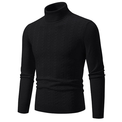 Pull-over homme col roulé tricot torsadé