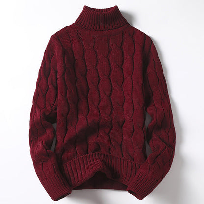 Pull en tricot pour homme col roulé torsadé mode élégante