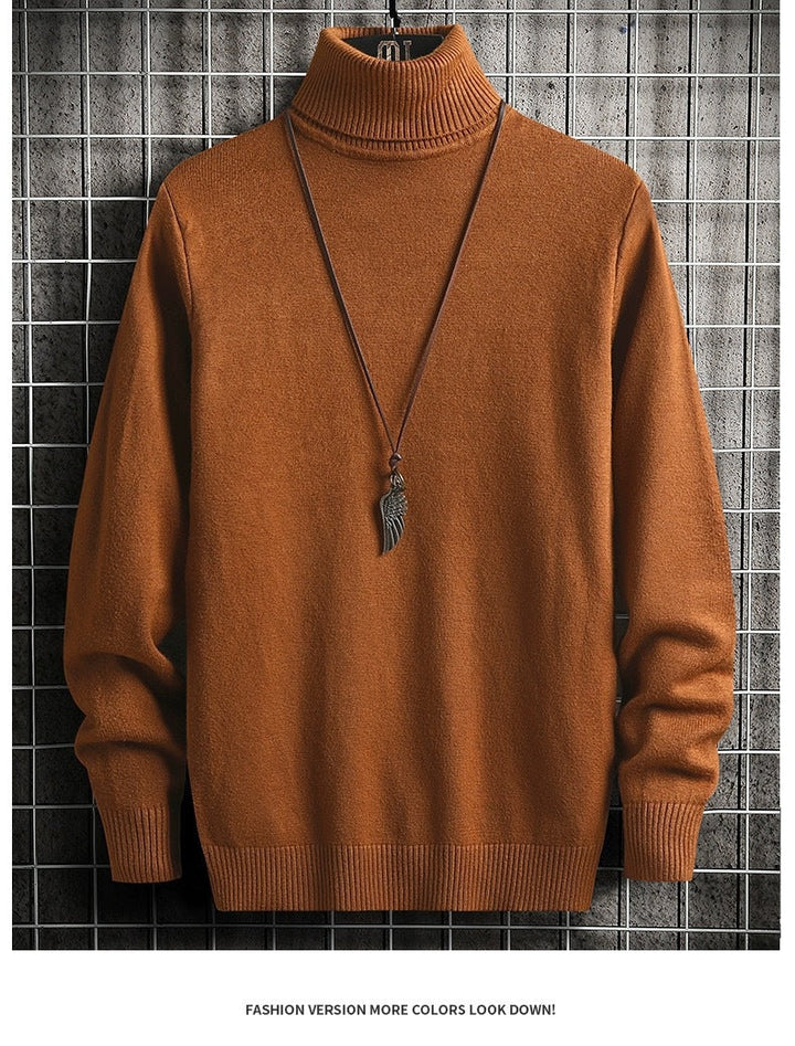 Pull col roulé homme Confortable Moderne