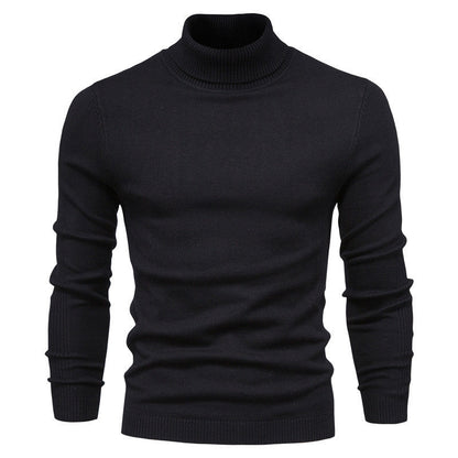 Pull Col Roulé Homme Laine Fine Design Élégant