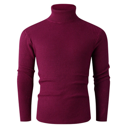 Pull en tricot pour homme Col roulé Côtes Design élégant