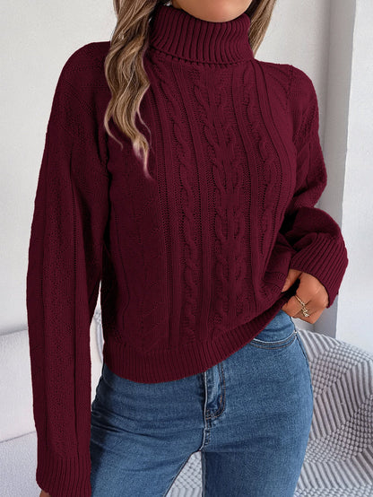Pull tricoté col montant motif tressé pour femmes
