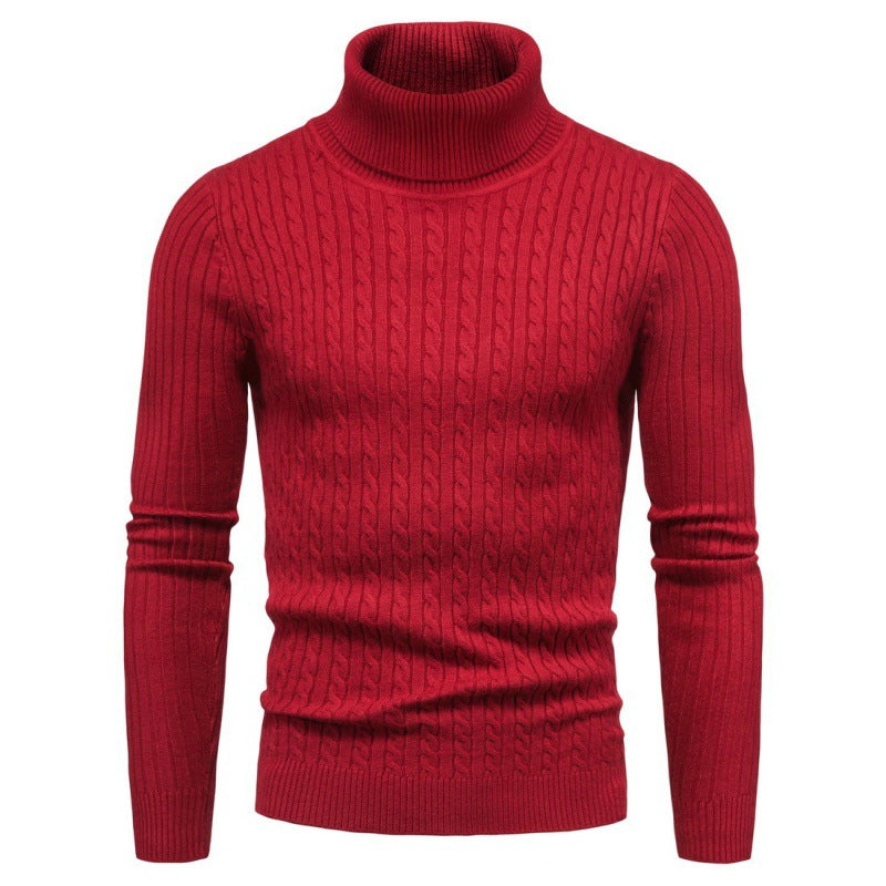 Pull Homme Col Roulé Torsades Mode Élégante