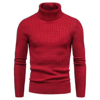 Pull Homme Col Roulé Torsades Mode Élégante