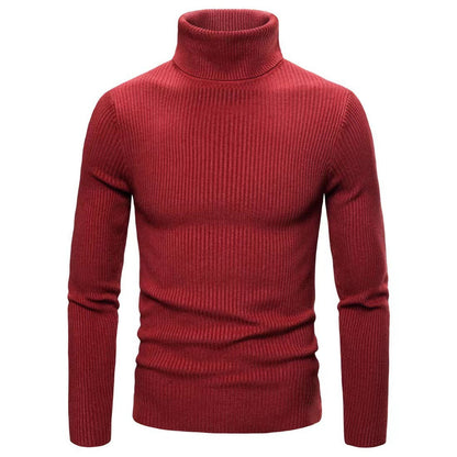 Col roulé homme Qualité supérieure Confortable