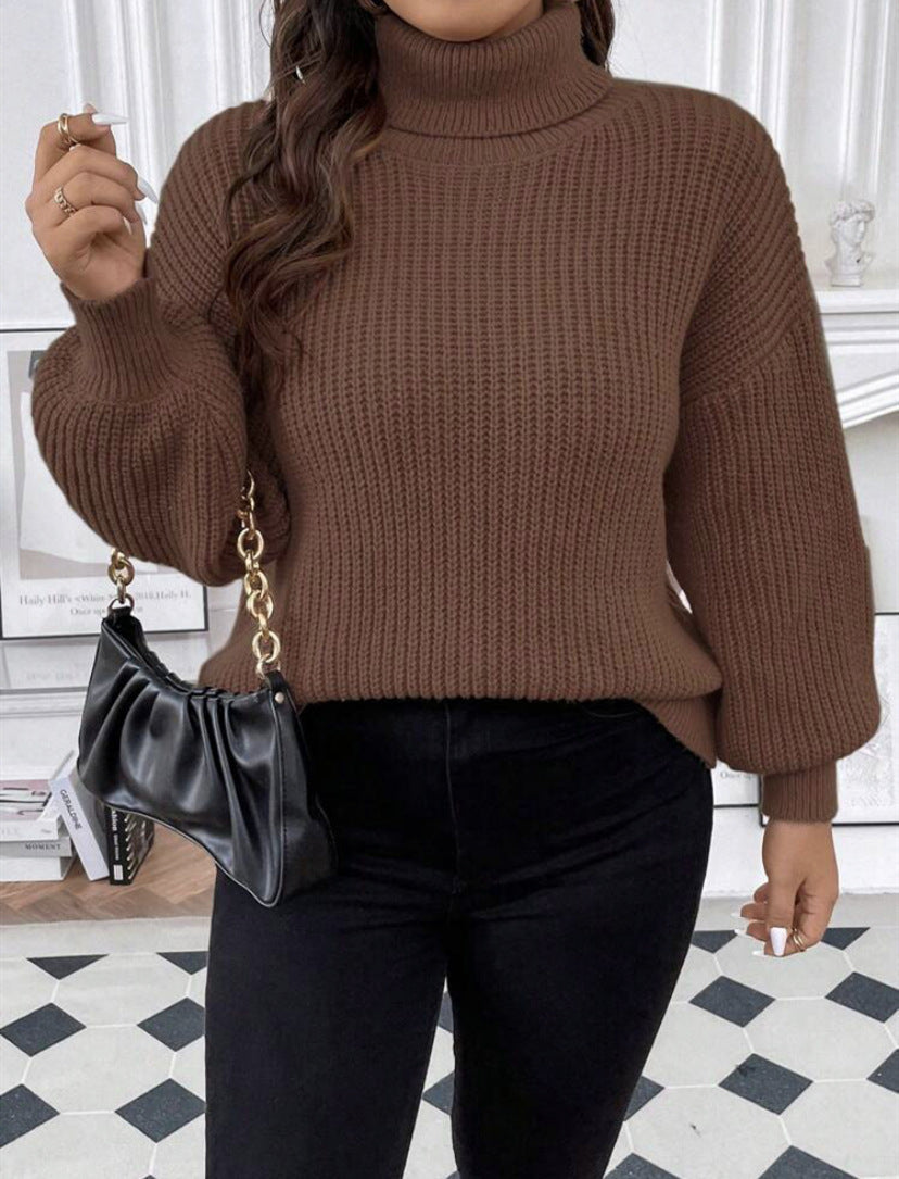 Pull pour femmes, tricot épais, chaud, confortable, col roulé
