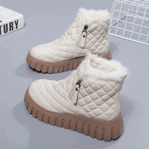 Chaussures Femme Bottes Hiver Cachemire