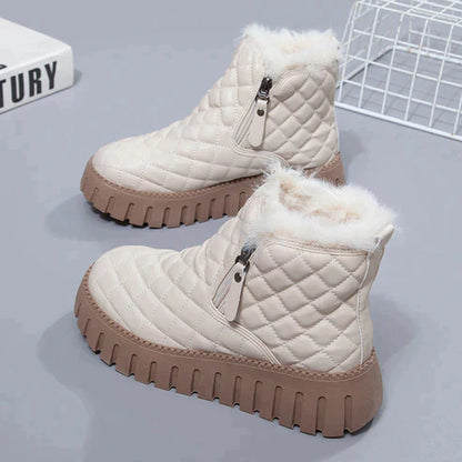 Chaussures Femme Bottes Hiver Cachemire