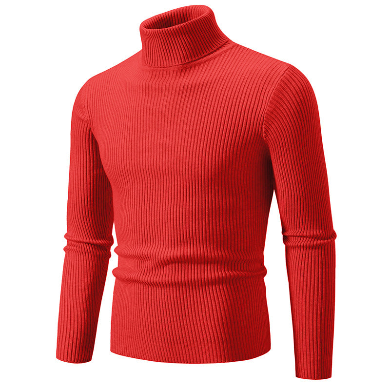 Col roulé homme Qualité supérieure Confortable