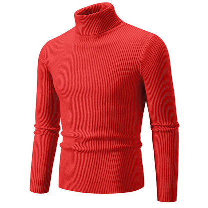 Col roulé homme Qualité supérieure Confortable